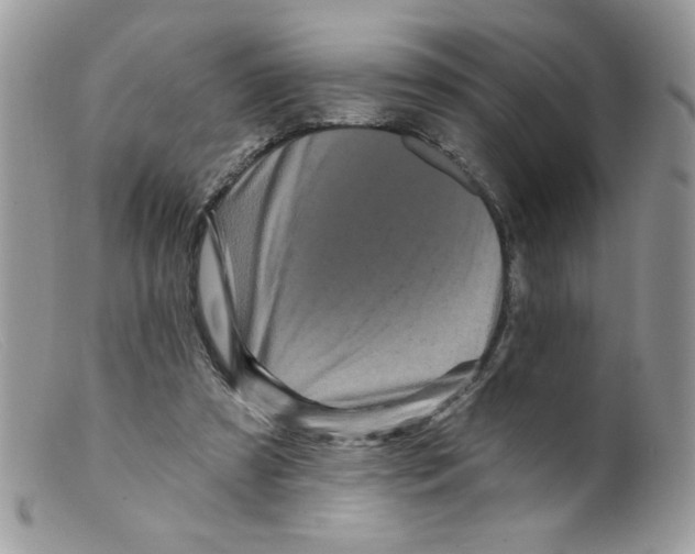 X0000098150305200805151211