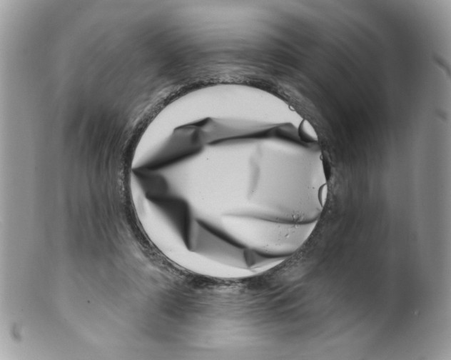 X0000098150306200805151211