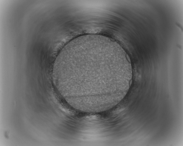 X0000098150307200805151211