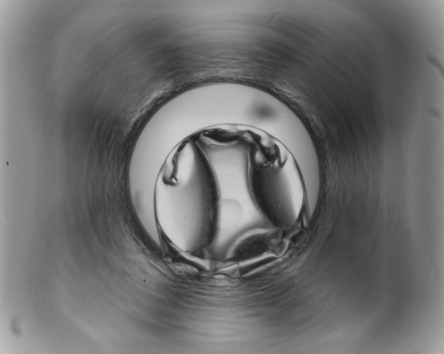 X0000098150308200805151211