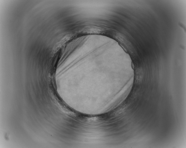 X0000098150309200805151211