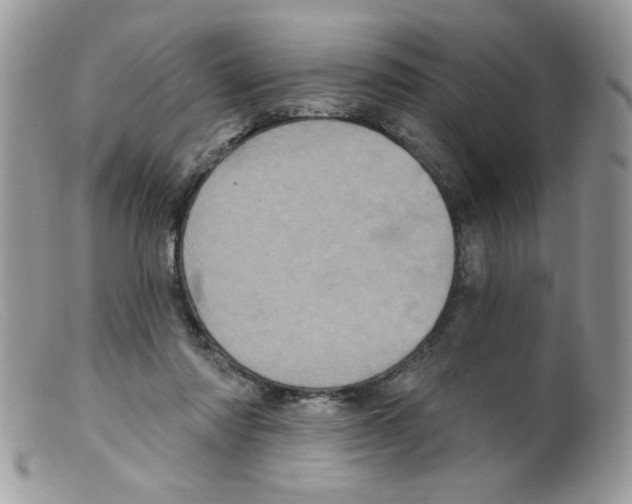 X0000098150310200805151211