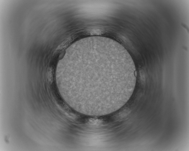 X0000098150311200805151211