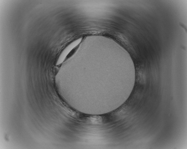 X0000098150317200805151211