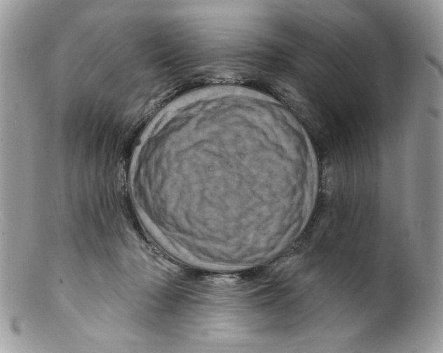 X0000098150318200805151211