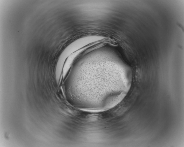 X0000098150320200805151211