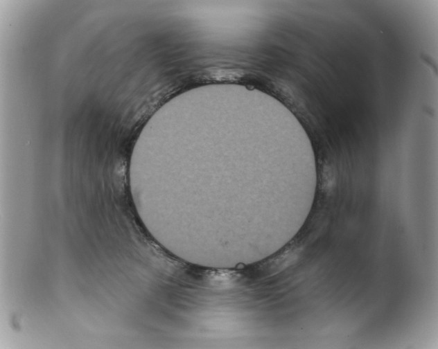 X0000098150321200805151211