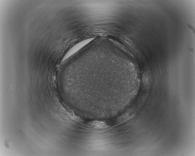 X0000098150322200805151211