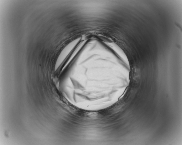 X0000098150324200805151211