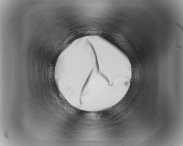 X0000098150326200805151211