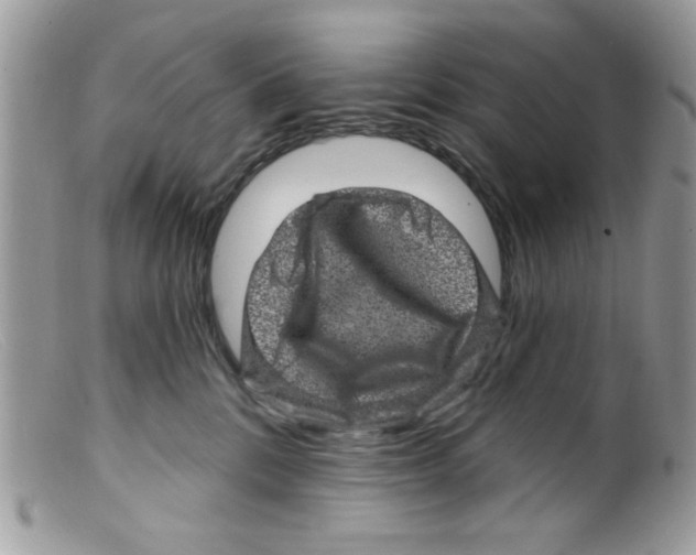 X0000098150328200805151211