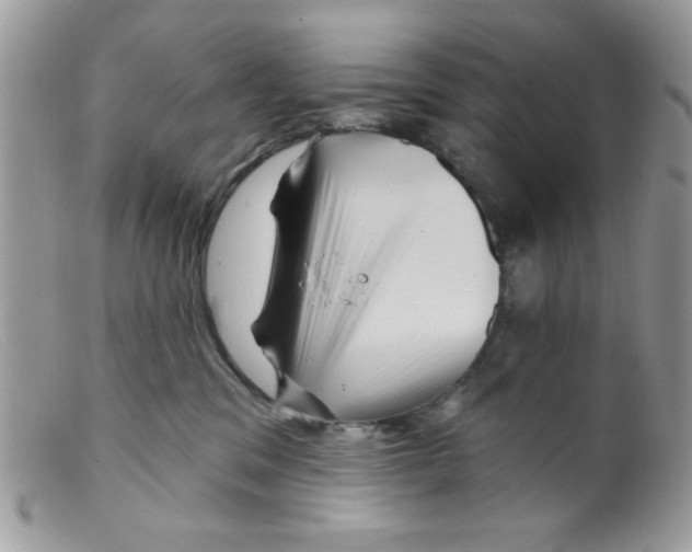 X0000098150329200805151211