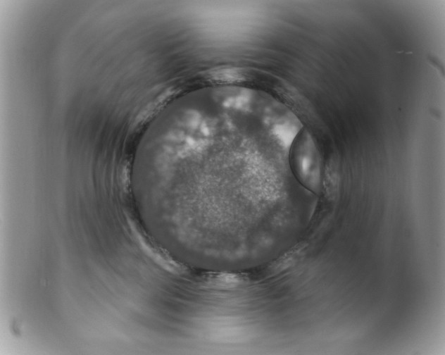 X0000098150330200805151211