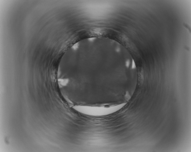 X0000098150331200805151211