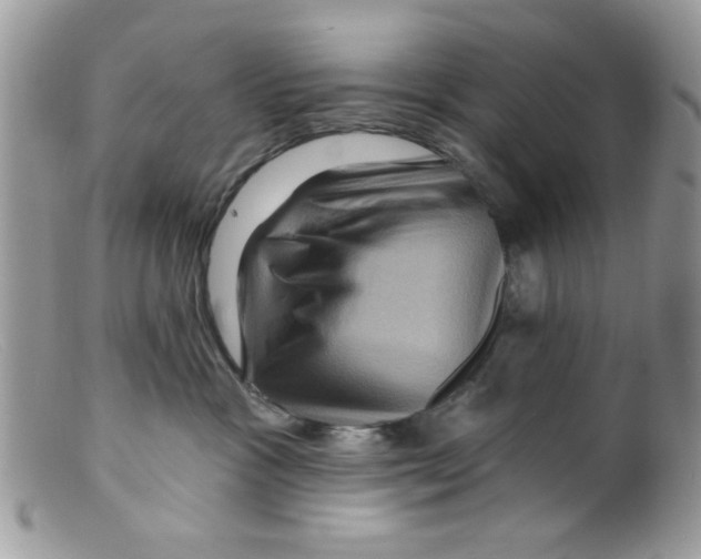 X0000098150333200805151211