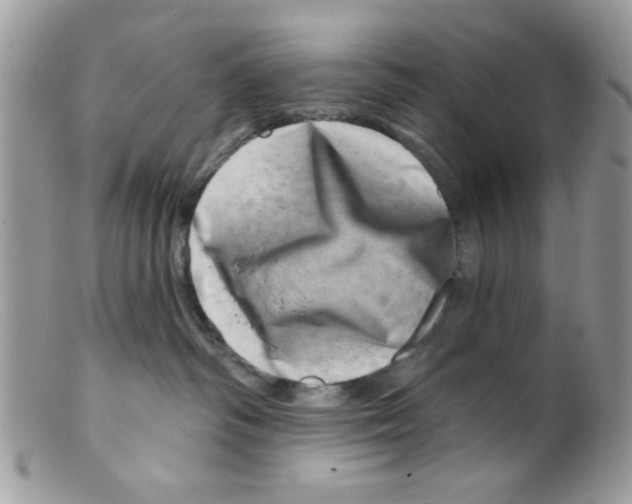 X0000098150334200805151211