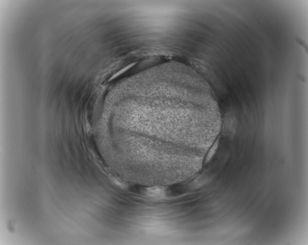 X0000098150335200805151211