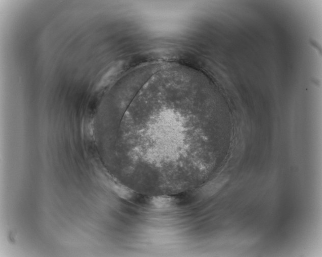 X0000098150336200805151211