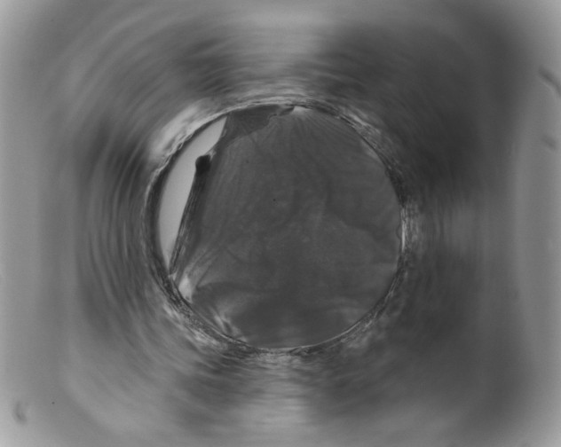 X0000098150339200805151210