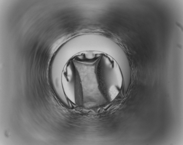 X0000098150340200805151210