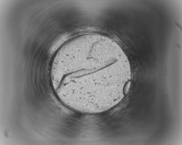 X0000098150341200805151210