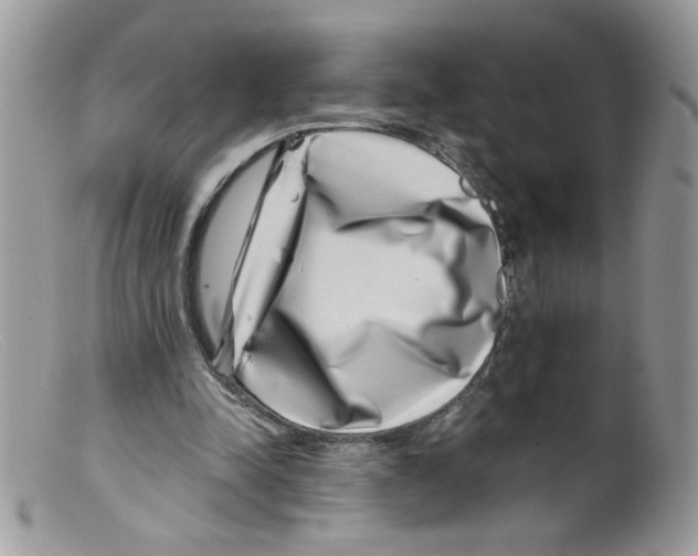 X0000098150342200805151210