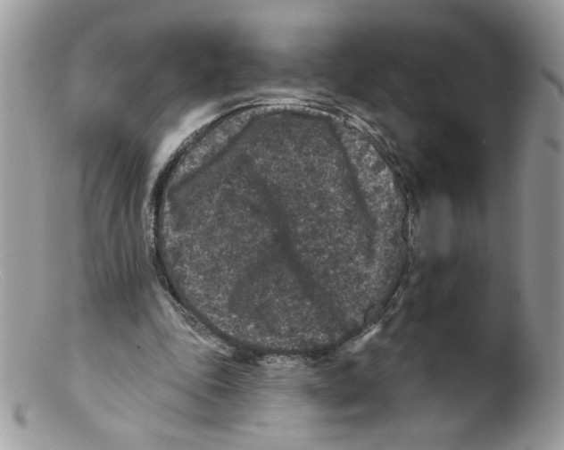 X0000098150343200805151210