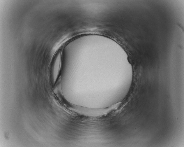 X0000098150344200805151210