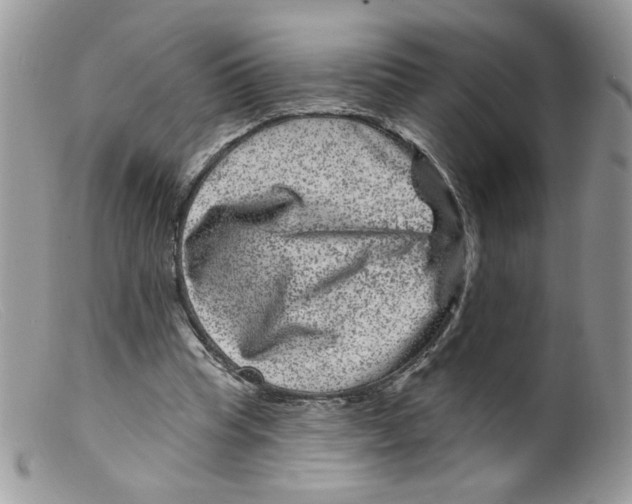 X0000098150345200805151210