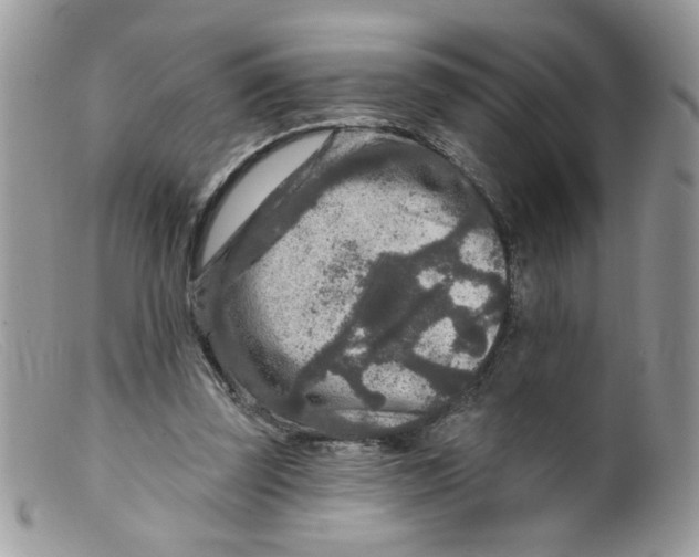 X0000098150347200805151210
