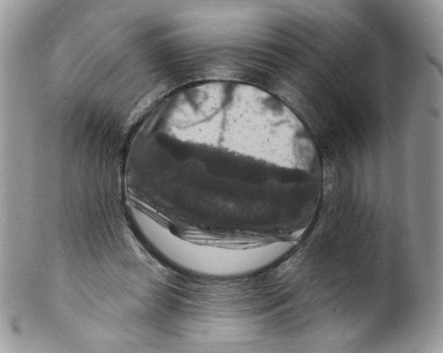 X0000098150349200805151210