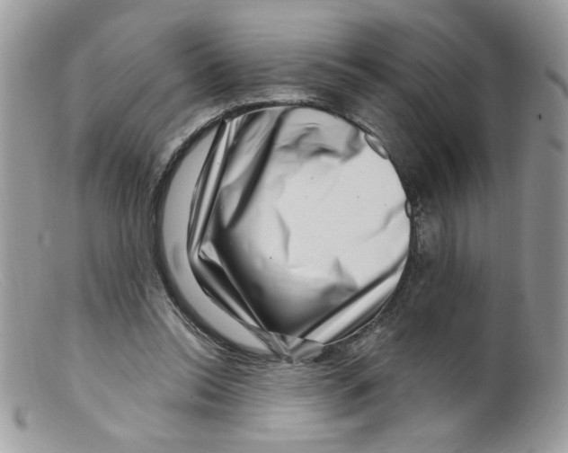 X0000098150350200805151210