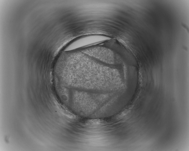 X0000098150351200805151210