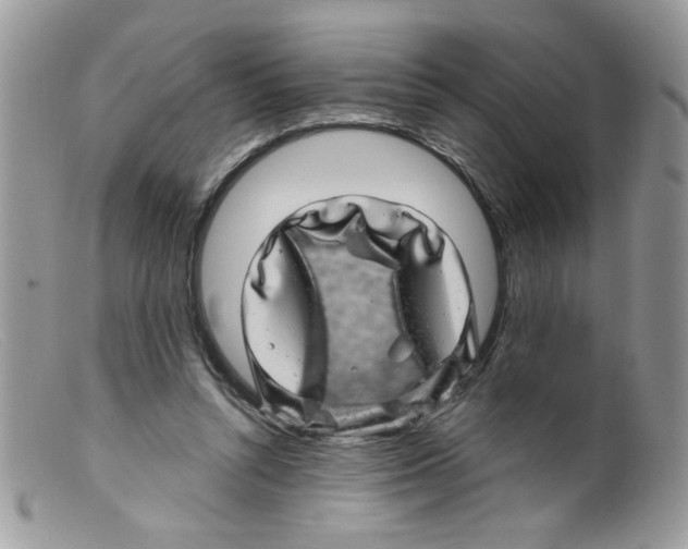 X0000098150352200805151210