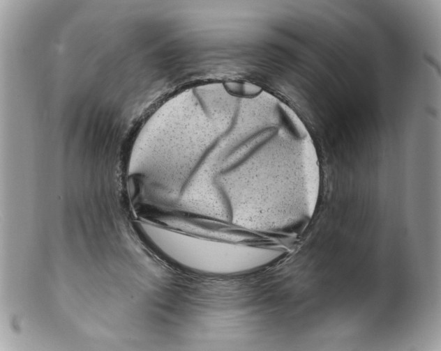 X0000098150354200805151210