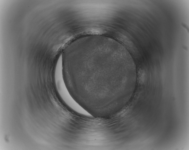 X0000098150358200805151210