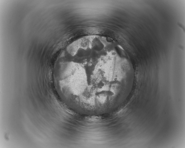 X0000098150359200805151210