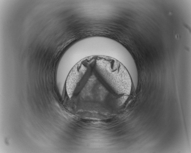 X0000098150360200805151210