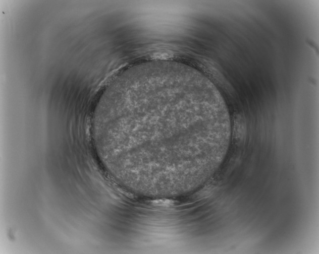 X0000098150363200805151210