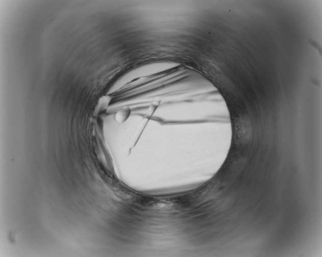 X0000098150364200805151210