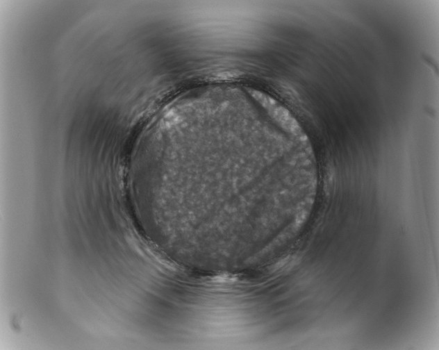 X0000098150366200805151210