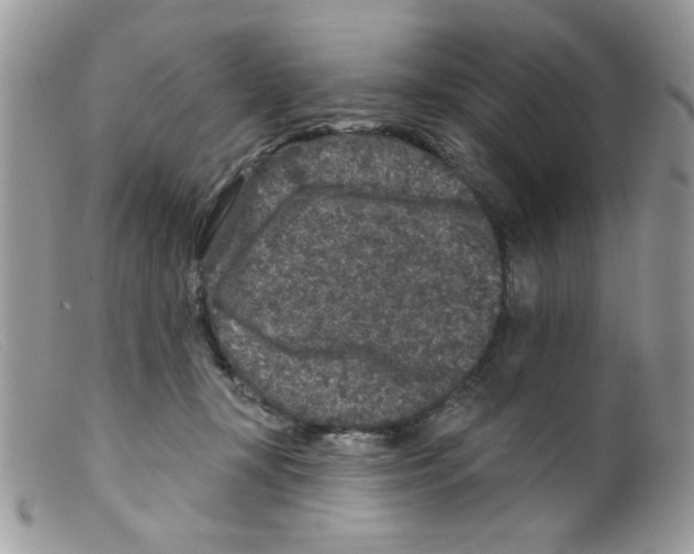 X0000098150367200805151210