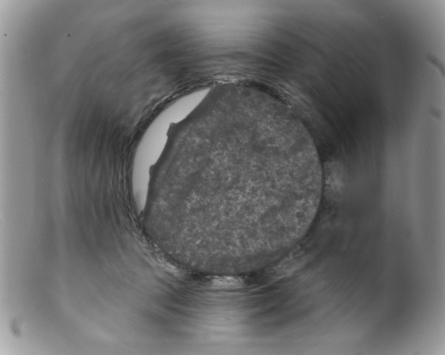 X0000098150369200805151210