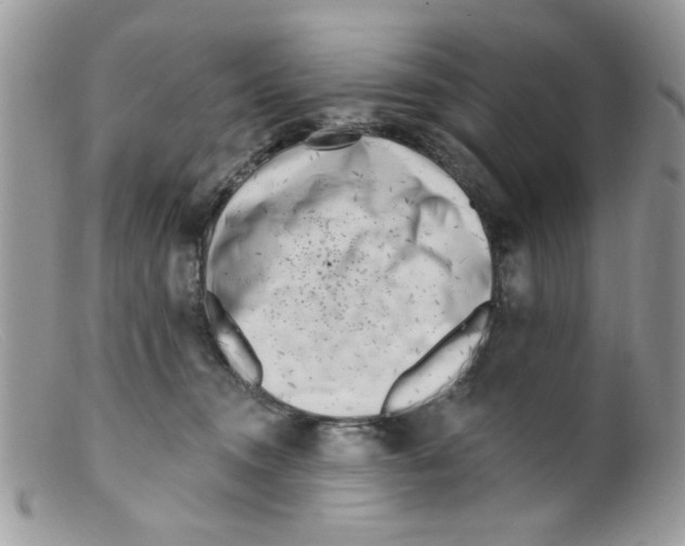 X0000098150372200805151210