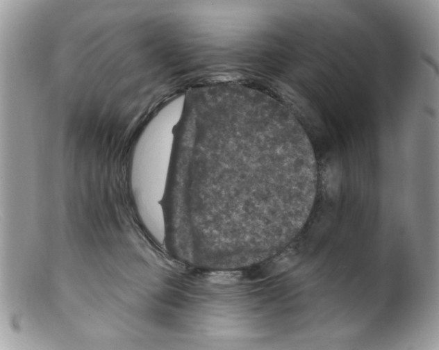 X0000098150373200805151210