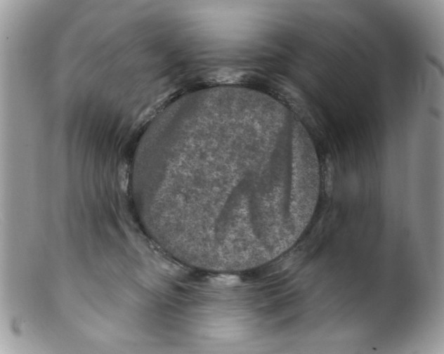 X0000098150374200805151210