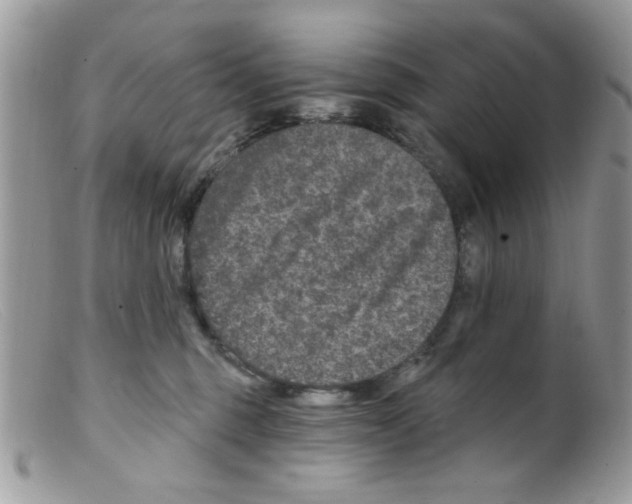 X0000098150375200805151211