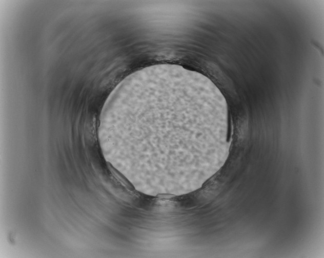 X0000098150376200805151211