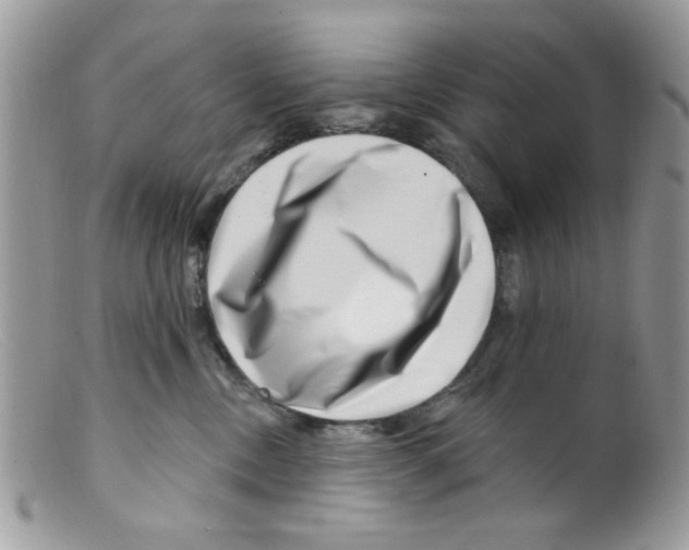 X0000098150378200805151211