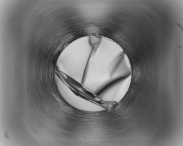 X0000098150379200805151211